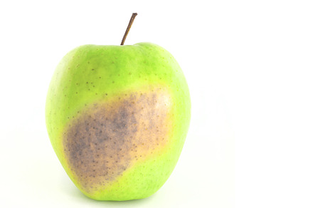 Bad apple, a Food & Drink Photo by KYNA STUDIO