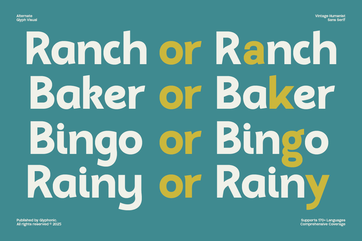 GC Ralinka – Confident Sans Form, a Sans Serif Font by Glyphonic (Photo 8 of 16)
