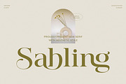 Sabling - Aesthetic Serif Font, a Serif Font by Jimoji (Thumbnail 1 of 11)