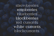 Berry Slab Serif Font, a Slab Serif Font by Graphicdome (Thumbnail 7 of 9)