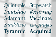 Modest Humanist Serif Family, a Serif Font by xdCreative (Thumbnail 7 of 12)