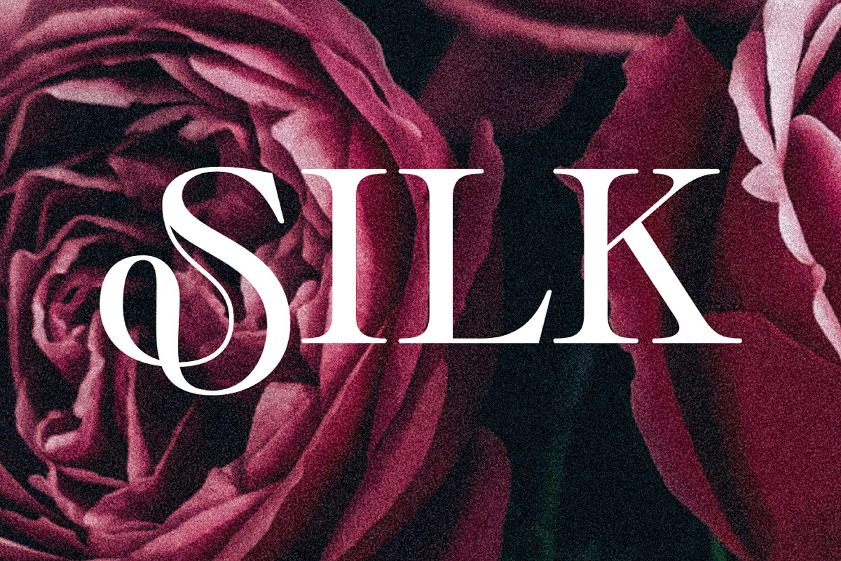 Divine Opulent - Display Serif, a Serif Font by Prioritype Co (Photo 9 of 10)