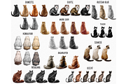 Cat Mom, Watercolor Cats Clipart PNG, a Person Illustration by Podcliparts (Thumbnail 3 of 6)