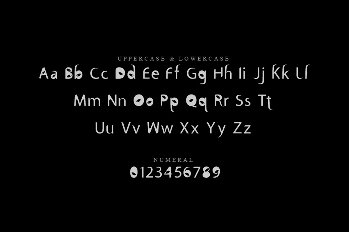 Revolt, a Script Font by khalwa.studio (Photo 2 of 5)