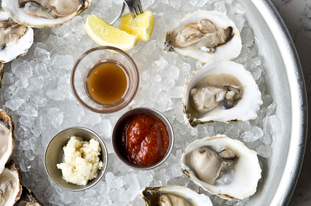 Tray of raw oysters