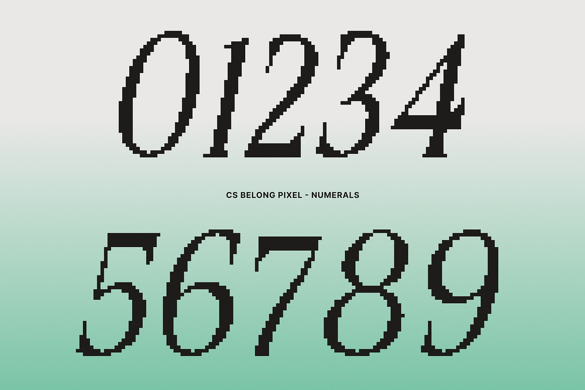 CS Belong Pixel, a Serif Font by Craft Supply Co. (Photo 3 of 8)