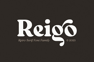 Reigo Complete Family, a Font by Digitype Studio