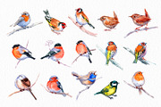 Small forest birds - watercolor set, an Object Graphic by ViktoriArt (Thumbnail 1 of 6)