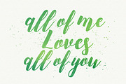 Blanca Script + Bonus, a Script Font by Studio design (Thumbnail 5 of 10)