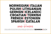 Senkron, a Sans Serif Font by Gurup Stüdyo (Thumbnail 11 of 13)