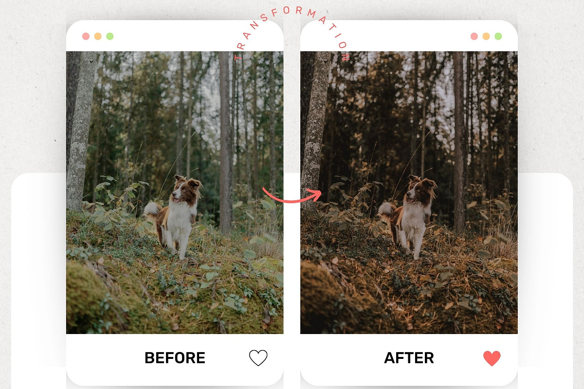 Moody Lightroom Presets & Luts, a Preset Add-On by presetsroom (Photo 6 of 13)