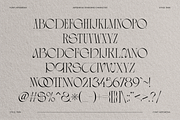 ARTEMESIA – A STYLISH DISPLAY SERIF, a Serif Font by RedyStudio (Thumbnail 9 of 10)