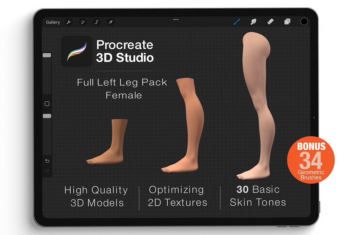 Procreate 3d Model - Left Leg Female, a Characters & Person 3D Model by Procreate3dStudio (Photo 1 of 4)