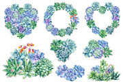 Succulents Botanical Watercolor, a Background Graphic by Hanna Hryharenka (Thumbnail 7 of 15)