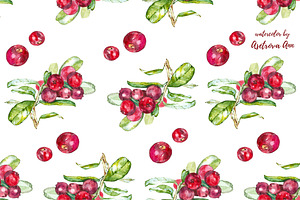 Watercolor Cranberry