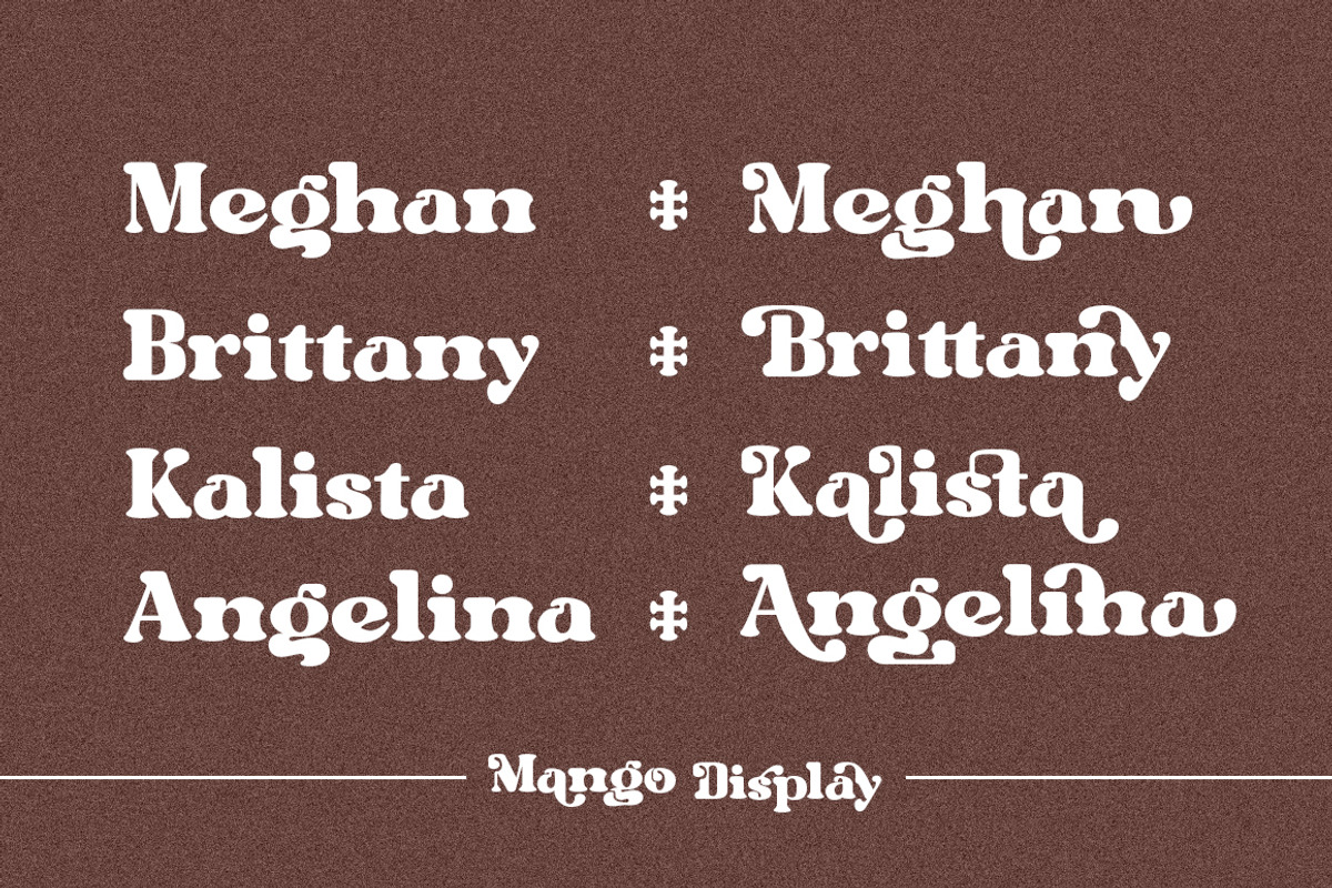 Mango Display, a Serif Font by MasaType (Photo 7 of 10)