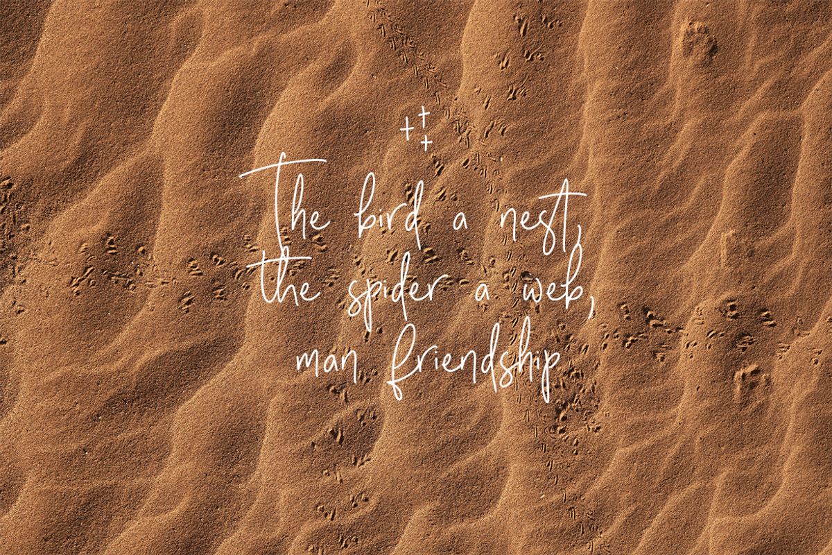 Rustic Village | A Chill Handwritten, a Script Font by Colllab Studio (Photo 15 of 18)