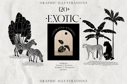 EXOTIC Graphics and animated stories