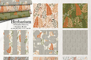 HERBARIUM. Vector set, a Pattern Graphic by Irina Skaska (Thumbnail 11 of 12)