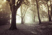 25 Dual Tone Landscape Presets, a Preset Add-On by Timeless Presets (Thumbnail 4 of 10)