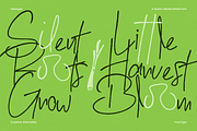 Rustic Harvest Bundle, a Handwritten Font by Helotype (Thumbnail 5 of 7)