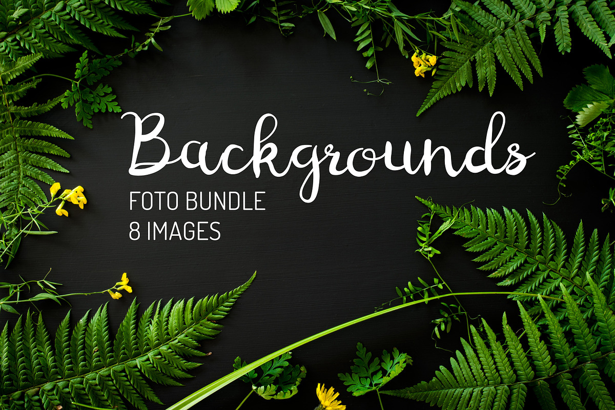 Forest plant background photo bundle, an Abstract Photo by Lum3n (Photo 1 of 2)