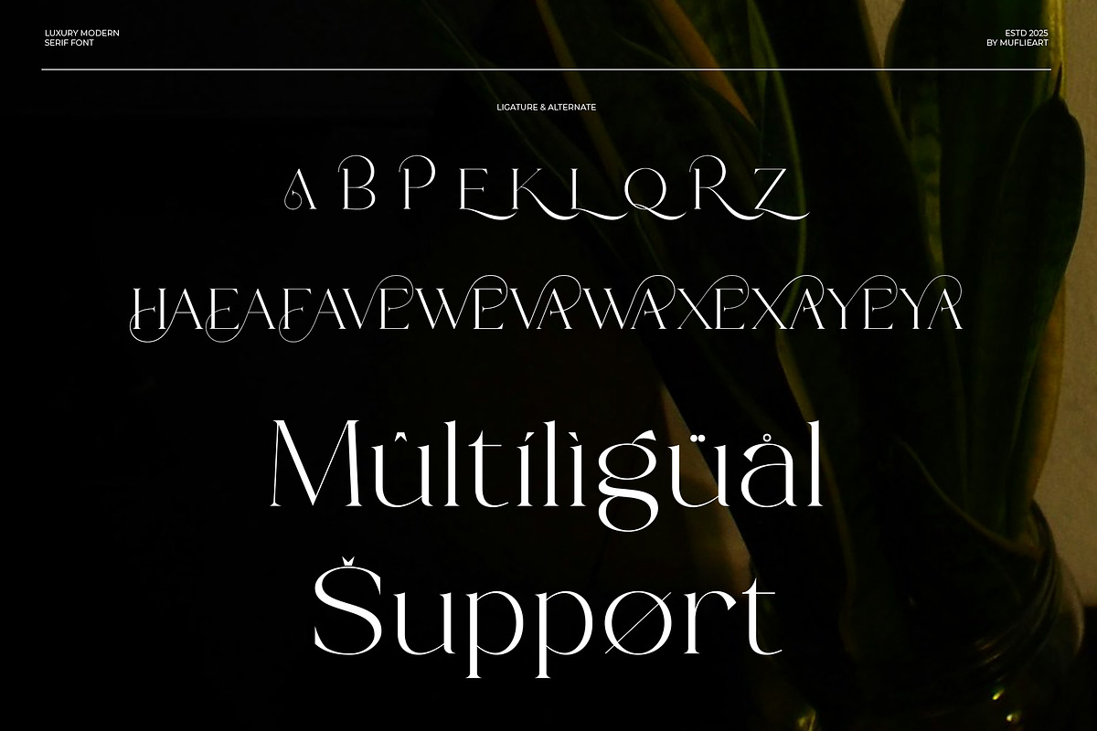Rolive - Luxury Modern Serif, a Serif Font by Muflieart (Photo 10 of 10)