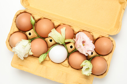 Concept of spring, eggs with flowers, top view, a Food & Drink Photo by AtlasStudio PRO