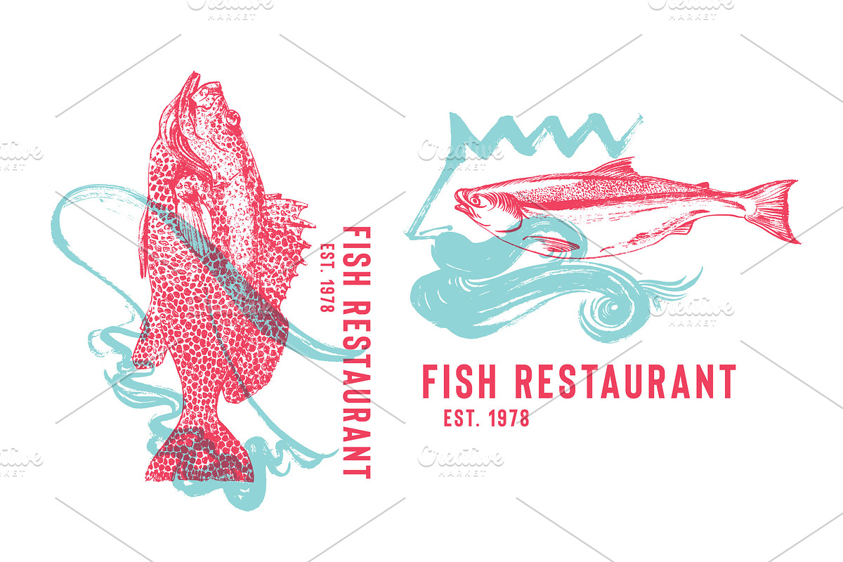 Fish, an Animal Illustration by Vera Holera (Photo 7 of 7)