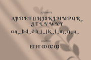 HUNTRO - Elegant Retro Serif Font, a Font by RHD Creative Studio (Thumbnail 10 of 11)