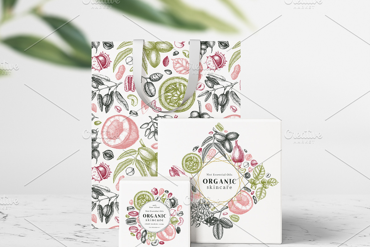 Nuts Hand-Drawn Vector Illustrations, a Food Illustration by Yevheniia (Photo 9 of 15)