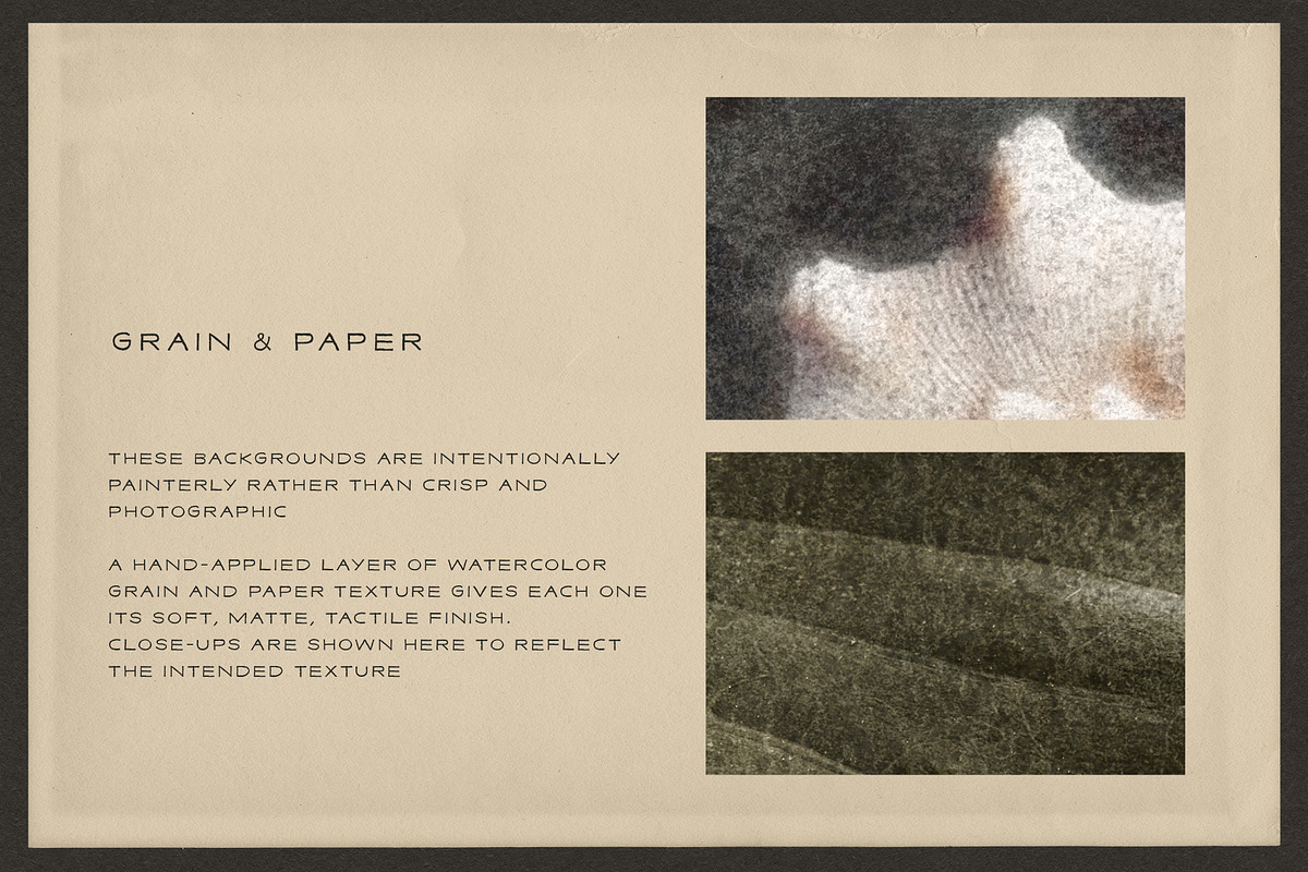 Windfall Organic Nature Backgrounds, a Background Graphic by alonahaidash (Photo 14 of 14)