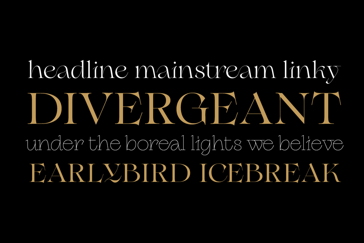 Erotique - 10 fonts, a Serif Font by Zetafonts (Photo 3 of 14)