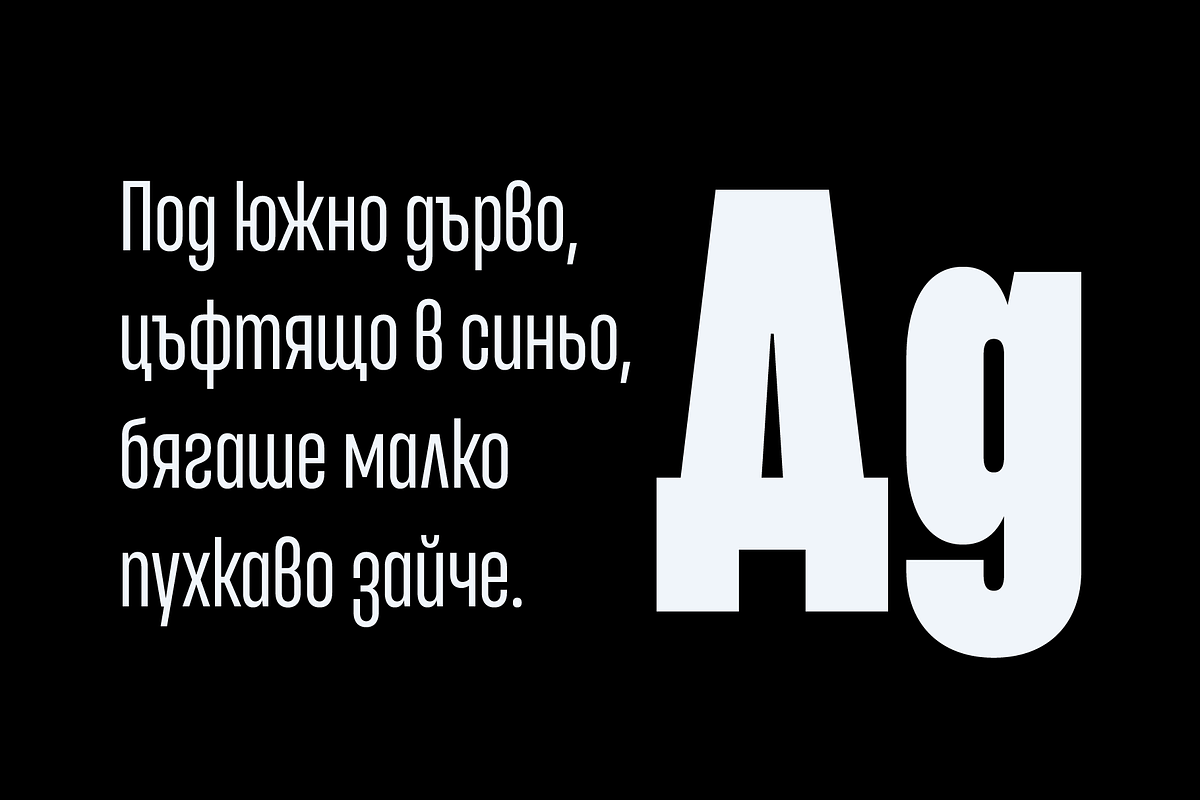 Entropia — condensed geometric sans, a Sans Serif Font by Slava Antipov (Photo 10 of 14)