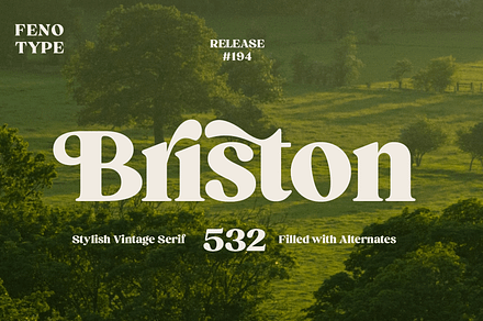 Briston Serif, a Serif Font by Fenotype
