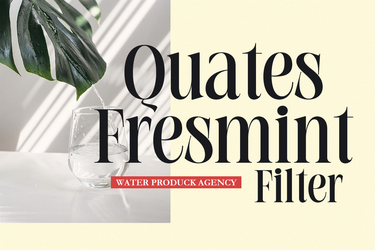Longsile, a Serif Font by studiobasic (Photo 2 of 9)