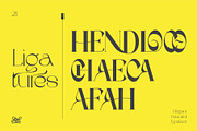 Wave Vero - Elegant Typeface, a Sans Serif Font by AuthenType (Thumbnail 6 of 12)