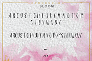 BLOOM FONT, a Script Font by MVMG (Thumbnail 2 of 2)