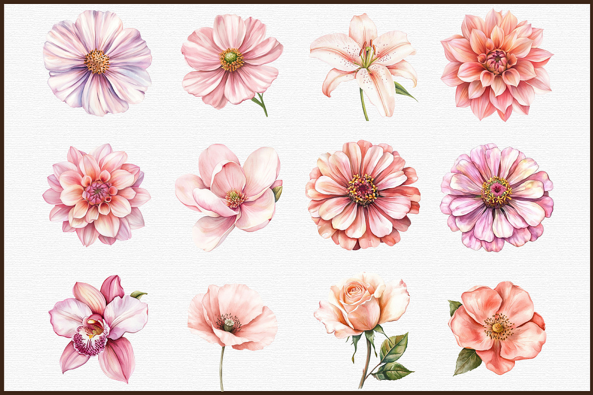 Watercolor Blush Florals Clipart Set, an Illustration by Sublimation Artist (Photo 3 of 6)