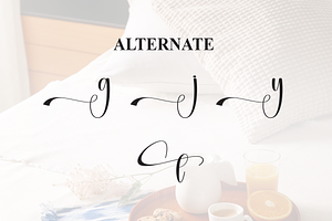 Homestay Script Font