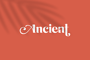 Emirates - Beautiful Curved Font, a Serif Font by Sensatype (Thumbnail 8 of 25)