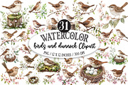 Birds and dunnock Clipart, a Seasonal Illustration by Designking (Thumbnail 1 of 5)