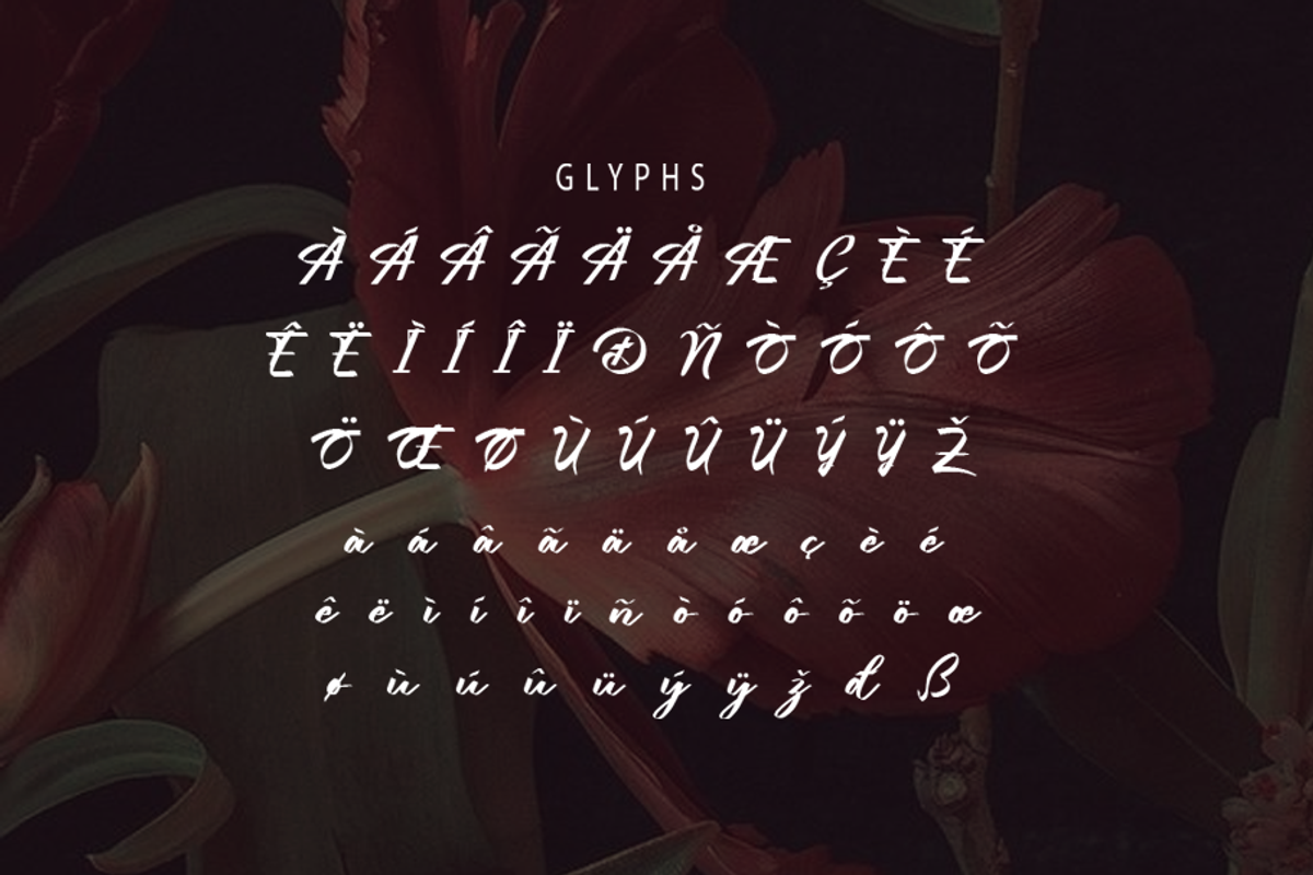 Lubirens, a Script Font by GlottaTypeface (Photo 7 of 8)