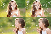 Dandelion Overlays, an Object Graphic by VligCreativeStudio (Thumbnail 4 of 6)