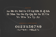 Buche Contemporary Serif, a Serif Font by FactoryType Studio (Thumbnail 6 of 12)