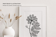 25 Medicinal Herbs Vector Collection, a Healthcare Illustration by Yevheniia (Thumbnail 10 of 11)
