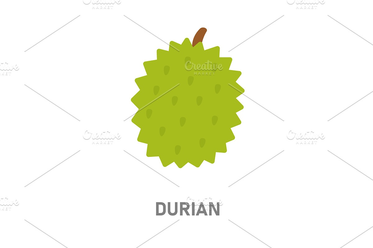 Durian, exotic fruit. Tropical fruit, a Food Illustration by GraphiShop