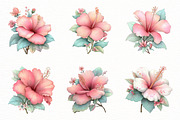 Watercolor hibiscus flower clipart, an Illustration by Designworld (Thumbnail 5 of 6)