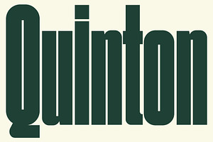 Quinton | Ultra Condensed Font, a Sans Serif Font by Fateh.Lab