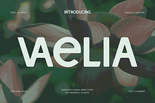 Vaelia - Elegant & Playful Sans